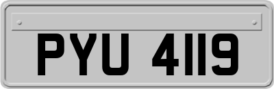 PYU4119