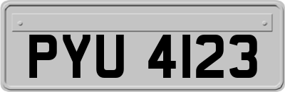 PYU4123