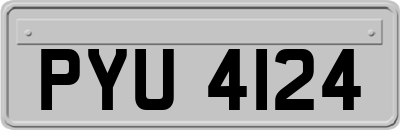 PYU4124