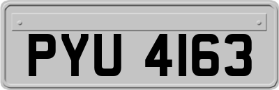 PYU4163