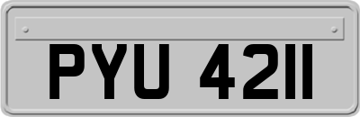 PYU4211