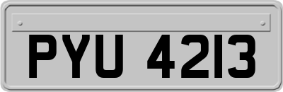 PYU4213