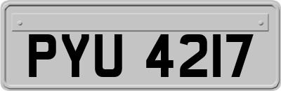 PYU4217