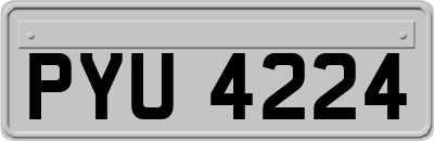 PYU4224