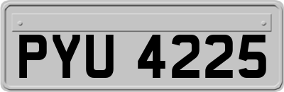 PYU4225