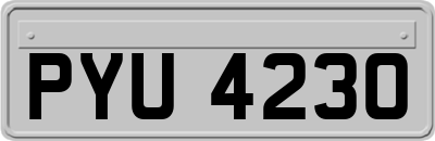 PYU4230