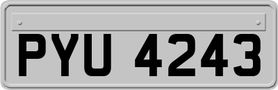 PYU4243