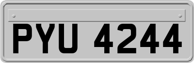 PYU4244