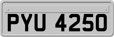 PYU4250