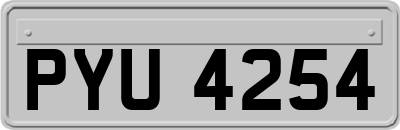 PYU4254