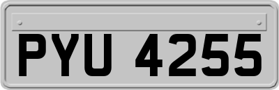 PYU4255