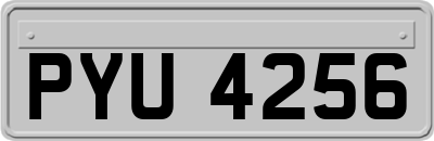 PYU4256