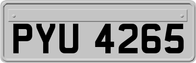 PYU4265