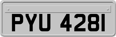 PYU4281