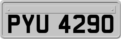 PYU4290