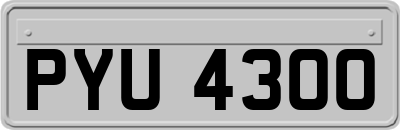 PYU4300