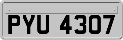 PYU4307