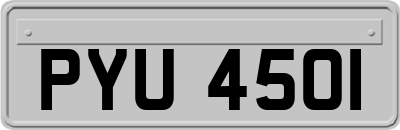 PYU4501