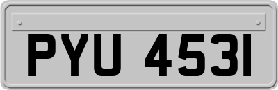 PYU4531