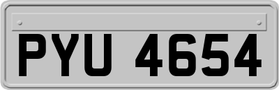 PYU4654