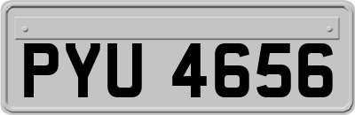 PYU4656