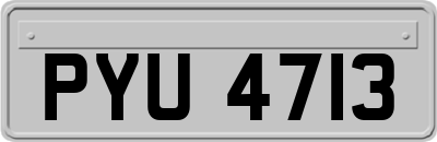 PYU4713