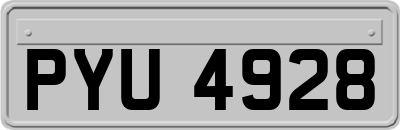 PYU4928