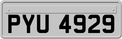 PYU4929