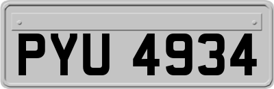 PYU4934