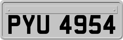 PYU4954