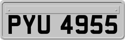 PYU4955