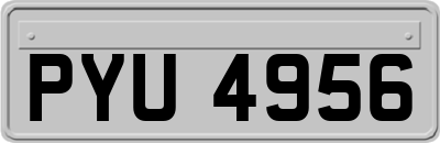 PYU4956