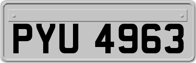 PYU4963