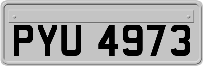 PYU4973