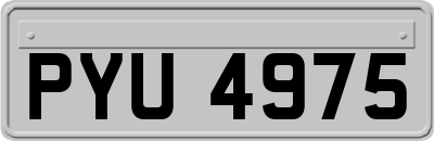 PYU4975