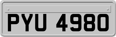 PYU4980