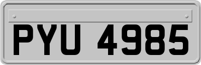 PYU4985