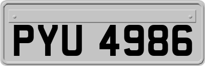 PYU4986