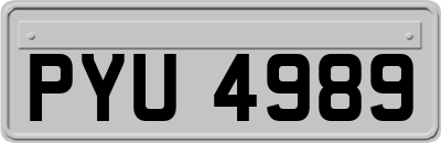 PYU4989