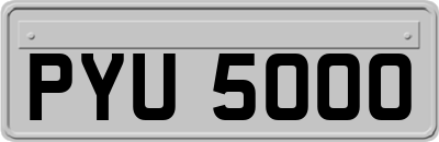 PYU5000