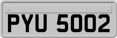 PYU5002