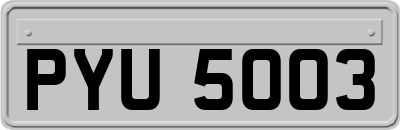 PYU5003