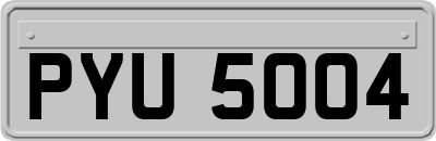 PYU5004