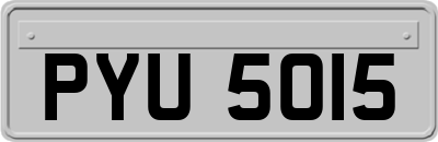 PYU5015