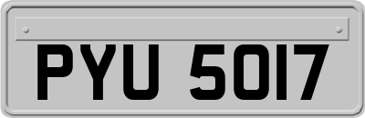 PYU5017