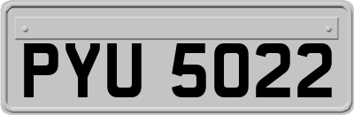 PYU5022