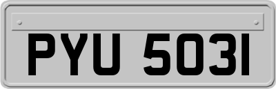 PYU5031