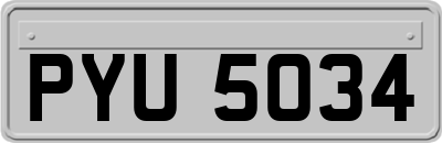 PYU5034