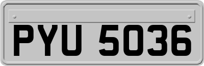 PYU5036