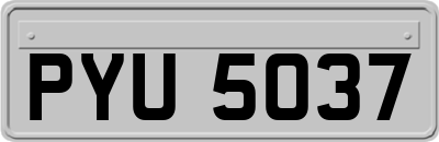 PYU5037